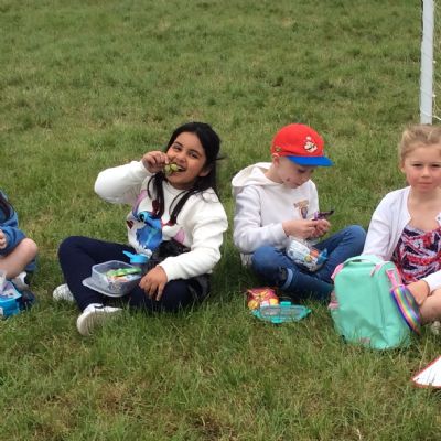 VE Day Picnic